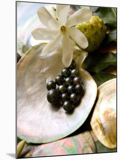 Black Pearl Farming at Hinano Pearl Farm, Fakarava, Tuamotus, French Polynesia-Michele Westmorland-Mounted Photographic Print