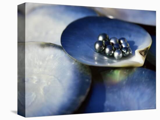 Black Pearls, Cook Islands, South Pacific-D H Webster-Stretched Canvas