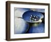 Black Pearls, Cook Islands, South Pacific-D H Webster-Framed Photographic Print