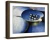 Black Pearls, Cook Islands, South Pacific-D H Webster-Framed Photographic Print