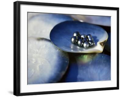 ‘Black Pearls, Cook Islands, South Pacific’ Photographic Print - D H