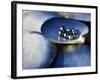 Black Pearls, Cook Islands, South Pacific-D H Webster-Framed Photographic Print