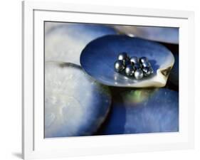 Black Pearls, Cook Islands, South Pacific-D H Webster-Framed Photographic Print