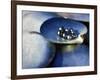 Black Pearls, Cook Islands, South Pacific-D H Webster-Framed Photographic Print