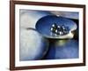 Black Pearls, Cook Islands, South Pacific-D H Webster-Framed Photographic Print