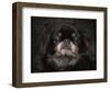 Black Pekingese Portrait-Jai Johnson-Framed Premium Giclee Print