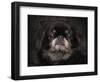 Black Pekingese Portrait-Jai Johnson-Framed Premium Giclee Print