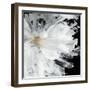 Black Peony-Asia Jensen-Framed Art Print