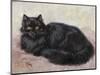 Black Persian Cat-null-Mounted Art Print