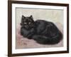 Black Persian Cat-null-Framed Art Print