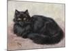 Black Persian Cat-null-Mounted Art Print