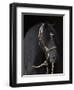 Black Peruvian Paso Stallion in Traditional Peruvian Bridle, Sante Fe, New Mexico, USA-Carol Walker-Framed Premium Photographic Print