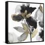 Black Petals Gold Leaves II-Asia Jensen-Framed Stretched Canvas