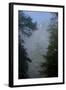 Black Pines, Distant Mountain in Light Mist, Crna Poda Nr, Tara Canyon, Durmitor Np, Montenegro-Radisics-Framed Premium Photographic Print