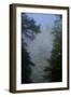 Black Pines, Distant Mountain in Light Mist, Crna Poda Nr, Tara Canyon, Durmitor Np, Montenegro-Radisics-Framed Photographic Print