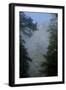 Black Pines, Distant Mountain in Light Mist, Crna Poda Nr, Tara Canyon, Durmitor Np, Montenegro-Radisics-Framed Photographic Print