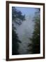 Black Pines, Distant Mountain in Light Mist, Crna Poda Nr, Tara Canyon, Durmitor Np, Montenegro-Radisics-Framed Photographic Print