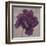 Black Plum 1-Ariane Martine-Framed Art Print