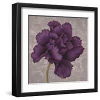 Black Plum 1-Ariane Martine-Framed Art Print