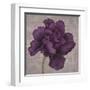 Black Plum 1-Ariane Martine-Framed Art Print