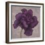 Black Plum 1-Ariane Martine-Framed Art Print