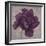 Black Plum 1-Ariane Martine-Framed Art Print