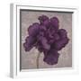 Black Plum 1-Ariane Martine-Framed Art Print