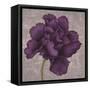 Black Plum 1-Ariane Martine-Framed Stretched Canvas