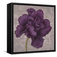 Black Plum 1-Ariane Martine-Framed Stretched Canvas