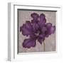 Black Plum 2-Ariane Martine-Framed Art Print