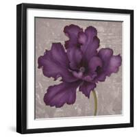 Black Plum 2-Ariane Martine-Framed Art Print