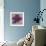 Black Plum 2-Ariane Martine-Framed Art Print displayed on a wall