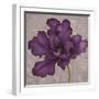 Black Plum 2-Ariane Martine-Framed Art Print