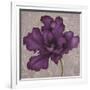 Black Plum 2-Ariane Martine-Framed Art Print