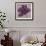 Black Plum 2-Ariane Martine-Framed Art Print displayed on a wall