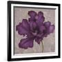 Black Plum 2-Ariane Martine-Framed Art Print