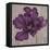 Black Plum 2-Ariane Martine-Framed Stretched Canvas