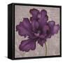 Black Plum 2-Ariane Martine-Framed Stretched Canvas