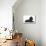 Black Poodle Lying Down-null-Mounted Photographic Print displayed on a wall