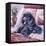 Black Poodle-Jenny Newland-Framed Stretched Canvas