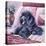 Black Poodle-Jenny Newland-Stretched Canvas