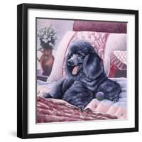 Black Poodle-Jenny Newland-Framed Giclee Print