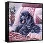 Black Poodle-Jenny Newland-Framed Stretched Canvas