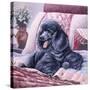 Black Poodle-Jenny Newland-Stretched Canvas