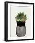 Black Pots 1-Ann Bailey-Framed Art Print