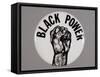 Black Power Button-David J. Frent-Framed Stretched Canvas