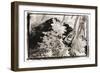 Black Pryamid, Guatemala-Theo Westenberger-Framed Photographic Print