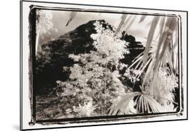 Black Pryamid, Guatemala-Theo Westenberger-Mounted Photographic Print