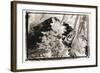 Black Pryamid, Guatemala-Theo Westenberger-Framed Photographic Print