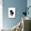 Black Pug Puppy (6 Weeks Old)-null-Mounted Photographic Print displayed on a wall